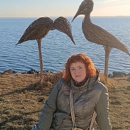 �����, ���������