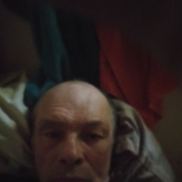 , 53 , 