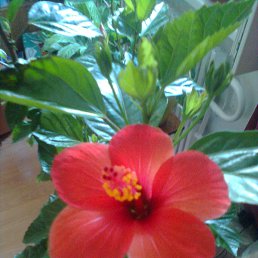 ���� ����, �������, 56 ��� - ��������� 23 ������ 2023