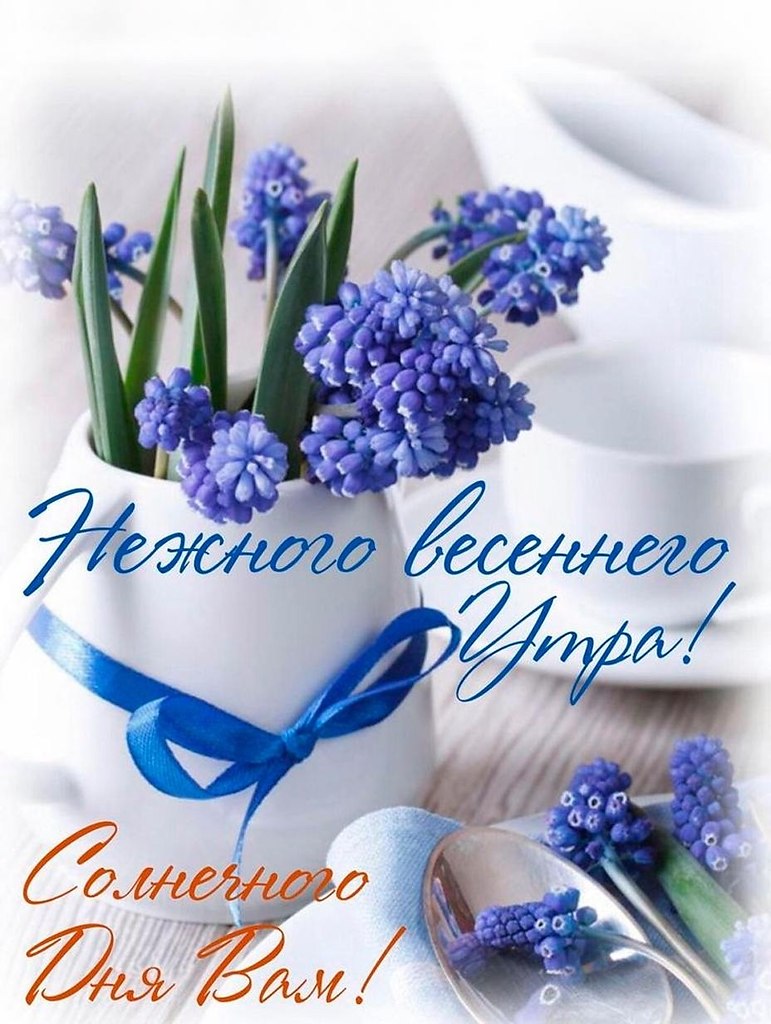 ����������� � ���������, �������� �� ������ ����. - 3 ����� 2026 � 00:51
