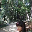 ���� ����, ������ - ��������� 30 ������ 2025 � ������ ���� ����������