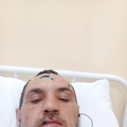 ���� ����, ������, 43 ���� - ��������� 13 ����� 2024