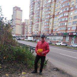 ���� ������, �����������, 62 ���� - ��������� 14 ������� 2024