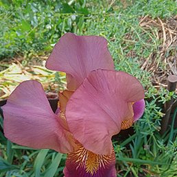 ���� �����, �����-���������, 53 ���� - ��������� 1 ���� 2025