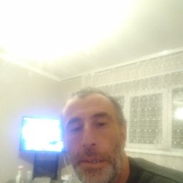 , 44, 