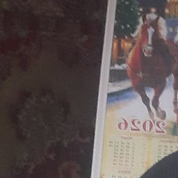 �����, ������, 49 ���