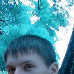 ������, ������, 39 ���