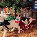 ���� ������, ��������, 63 ���� - ��������� 24 ������ 2025 � ������ ���� ����������