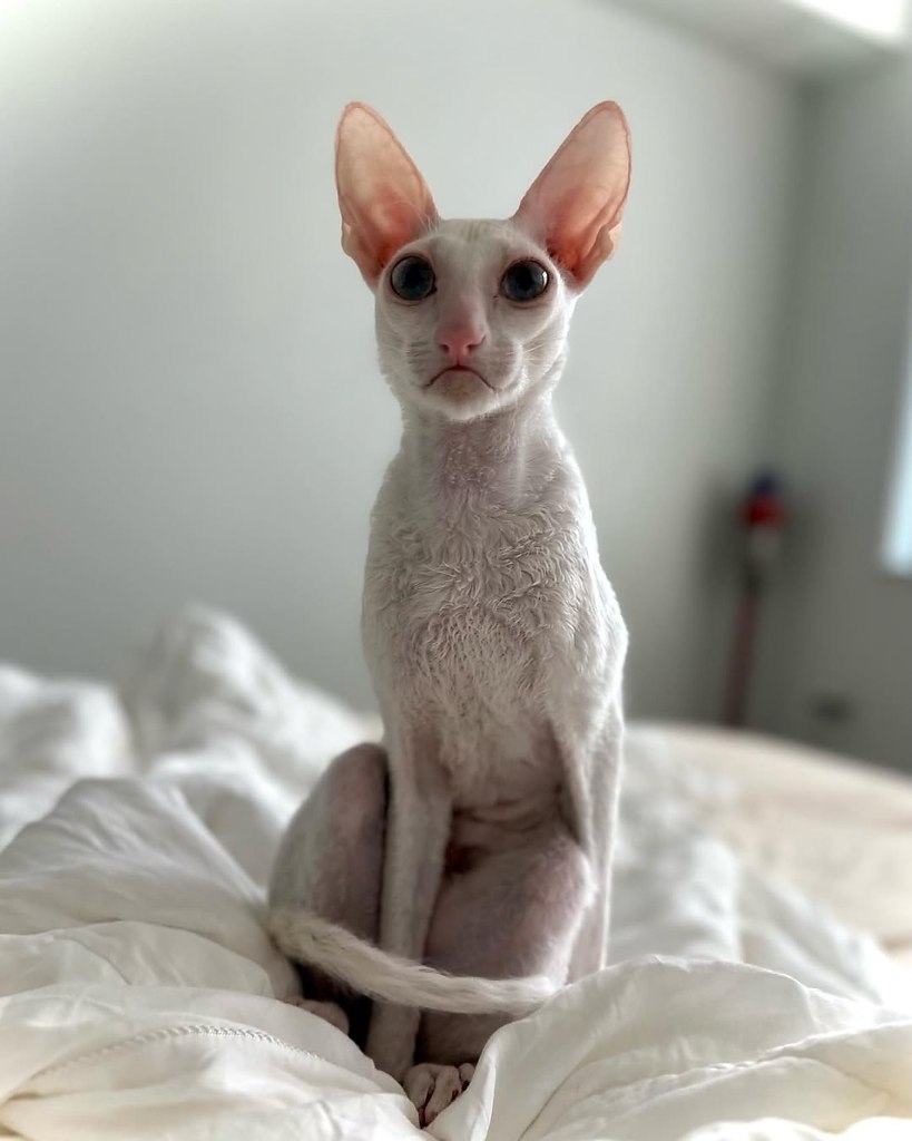 ,  .  --  ,        ... - 3