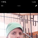 ���� ������, �������, 41 ��� - ��������� 25 ���� 2025 � ������ ���� ����������