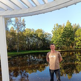 ��������, 46 ���, ������