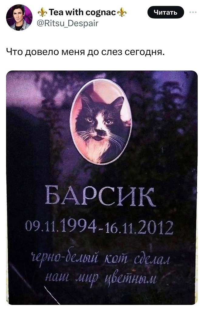 Ну что, опять рыдать что ли
