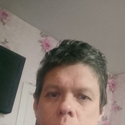 ���� ������, �����, 41 ��� - ��������� 16 ������� 2026