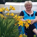 ���� ����, ������, 62 ���� - ��������� 17 ���� 2025 � ������ ���� ����������