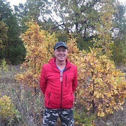 ������, ���, 65 ���