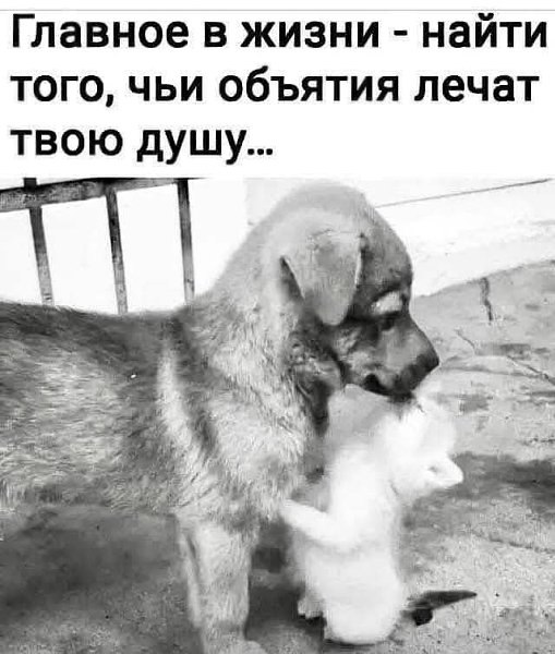   - 5  2025  11:43