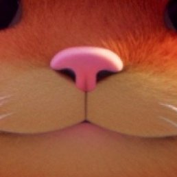 Max, �������, 59 ���