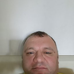 , 42, 