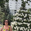 ���� �����, ������, 67 ��� - ��������� 18 ���� 2025 � ������ ���� ����������