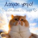 ���� �������, ������, 58 ��� - ��������� 29 ������ 2024 � ������ ���� ����������