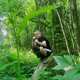 ����, �����-���������, 44 ����