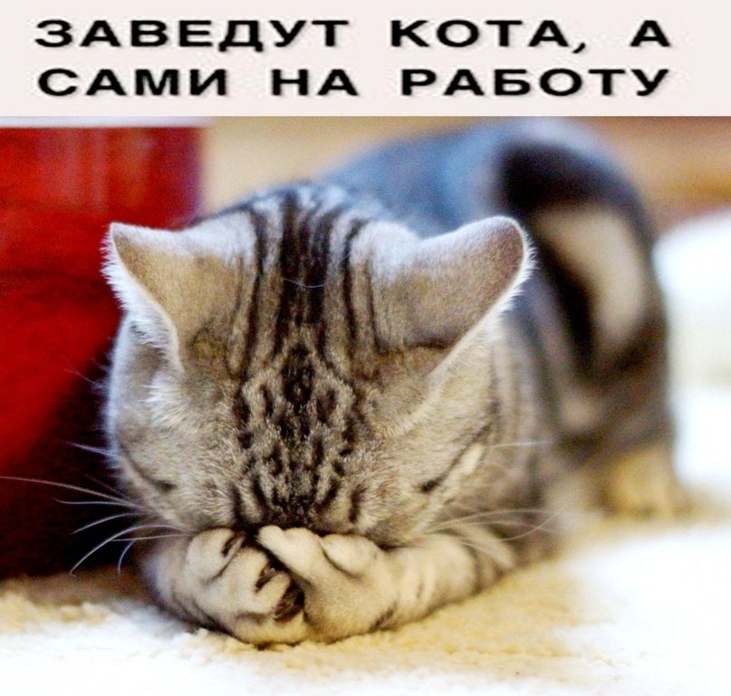 � ����� ������...