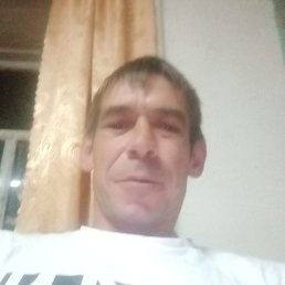 , 41 , --
