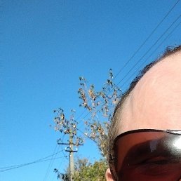 ������, ������, 42 ����