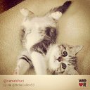 ���� Deema, ��������� - ��������� 23 ������� 2025 � ������ ������ ��������