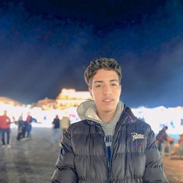 NasSim, 17, 