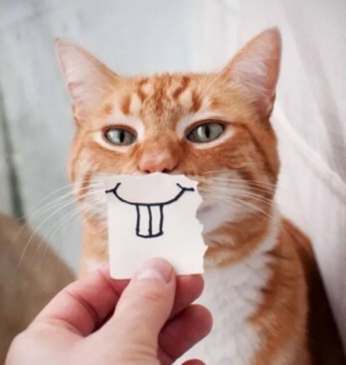   !
