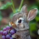  , , 53  -  11  2025   , , !!