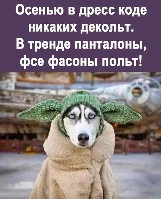 ОБО ВСЕМ - 11 октября 2025 в 14:12