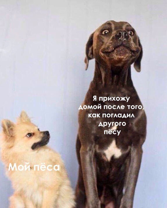    - 30  2023  04:39