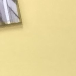 Leonel, ������, 19 ���