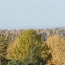 ���� ����, ������, 106 ��� - ��������� 13 ������ 2023 � ������ ���� ����������