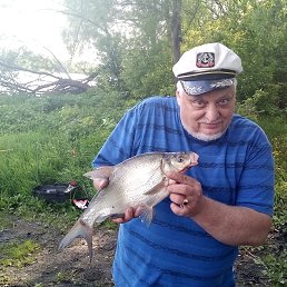 �����, 55 ���, ������