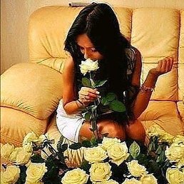 �������, ������, 28 ���