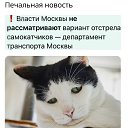 ���� ����, ������ - ��������� 3 �������� 2026 � ������ ������ ��������