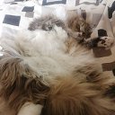 ���� ��������, ���������, 55 ��� - ��������� 16 ������ 2025 � ������ ������ ��������