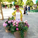 ���� �����, ������, 65 ��� - ��������� 24 ��� 2026 � ������ ���� ����������