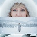 ���� �����, ��������� - ��������� 4 ������ 2026