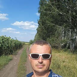 , 41 , 