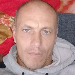 ������, ���������, 38 ���