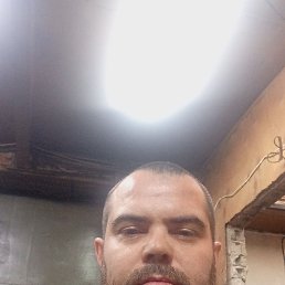 ����, 37 ���, �����