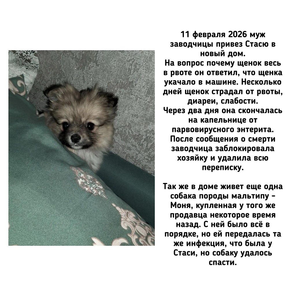 �� - ������������ ������ ������������ �� �������� ��������� (��������) �� ������ ����� (���������� ... - 7