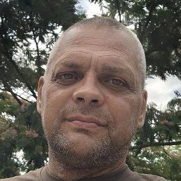 ������, ������, 43 ����