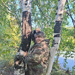 �������, 41 ���, ������������