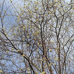 ���� �&euml;��, ���������� - ��������� 27 ����� 2026