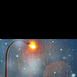 ������, ����, 40 ���